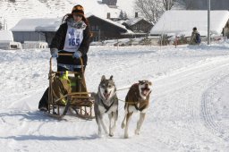 Lenk 2012 SM